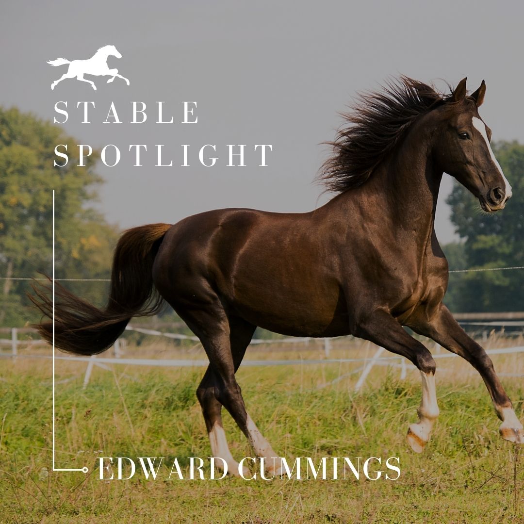 Stable Spotlight – Edward Cummings