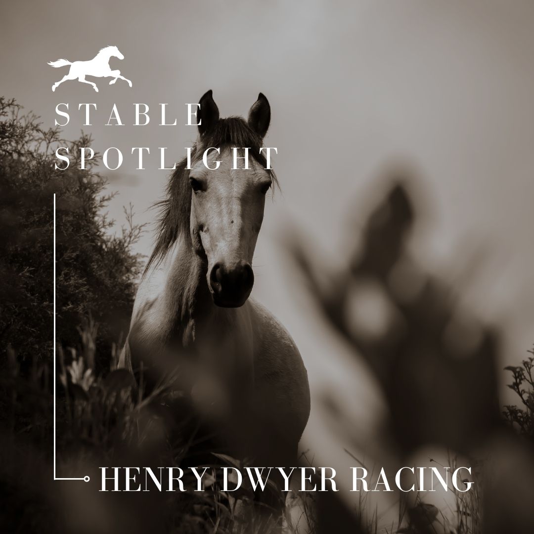 Stable Spotlight – Henry Dwyer Racing