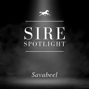 Sire Spotlight