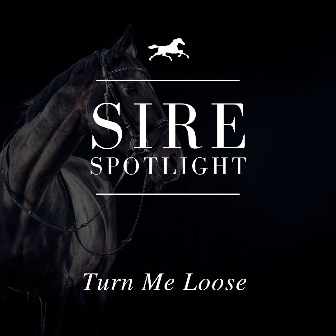 Sire Spotlight – Turn Me Loose