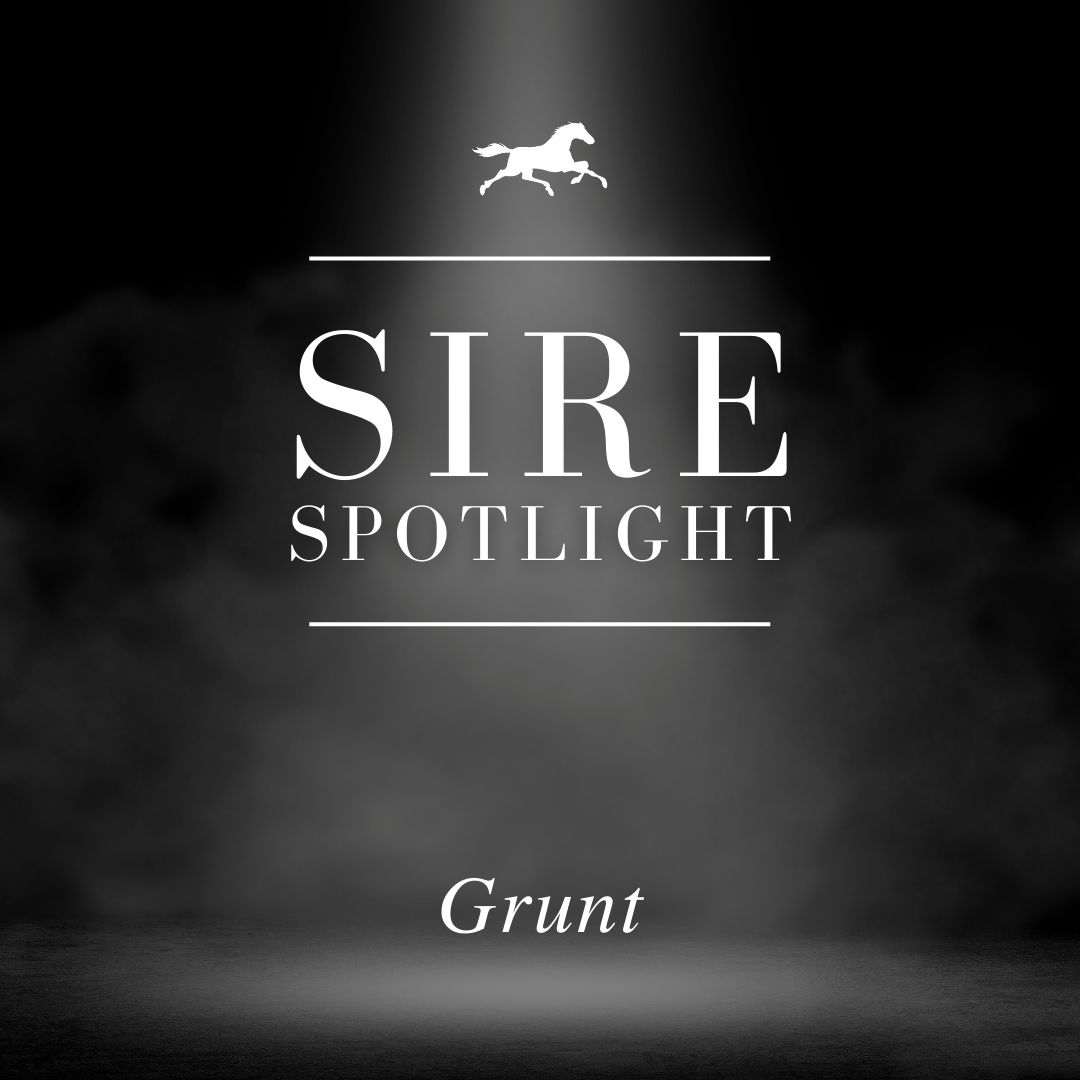 Sire Spotlight – Grunt