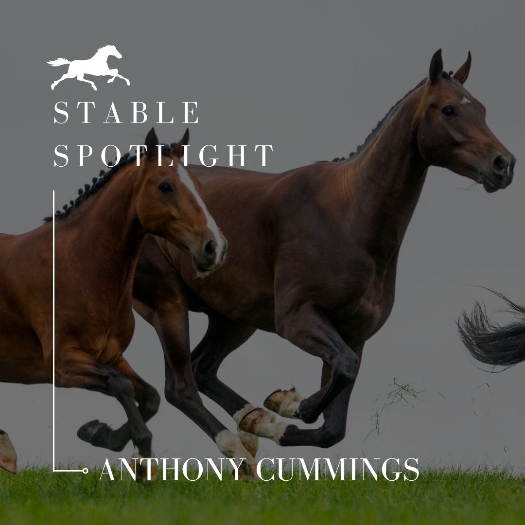 Stable Spotlight – Anthony Cummings