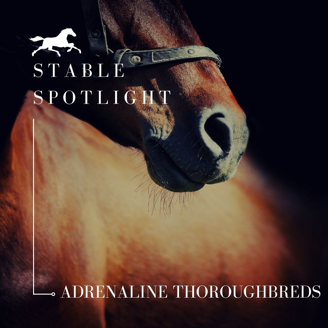 Stable Spotlight – Adrenaline Thoroughbreds