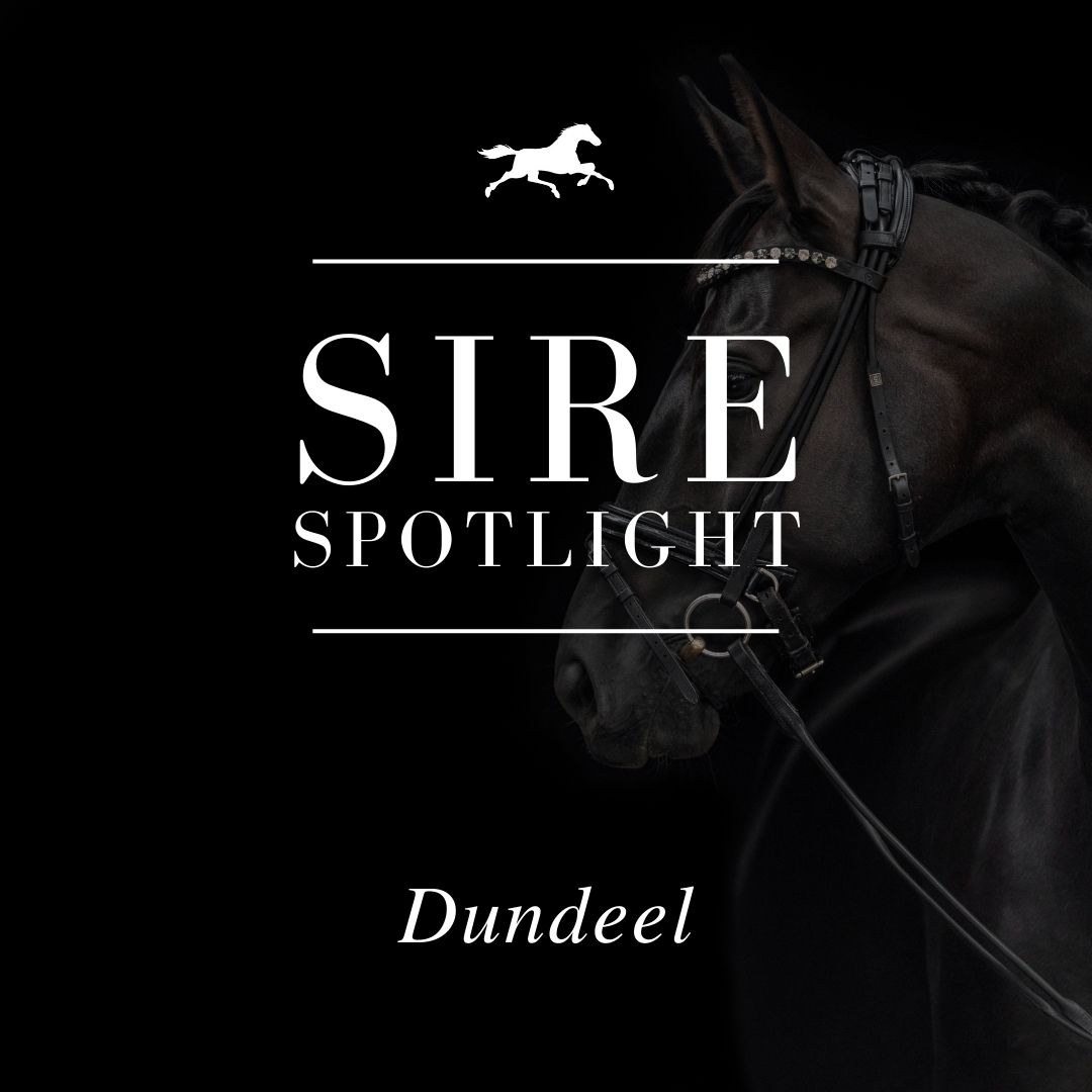 Sire Spotlight – Dundeel
