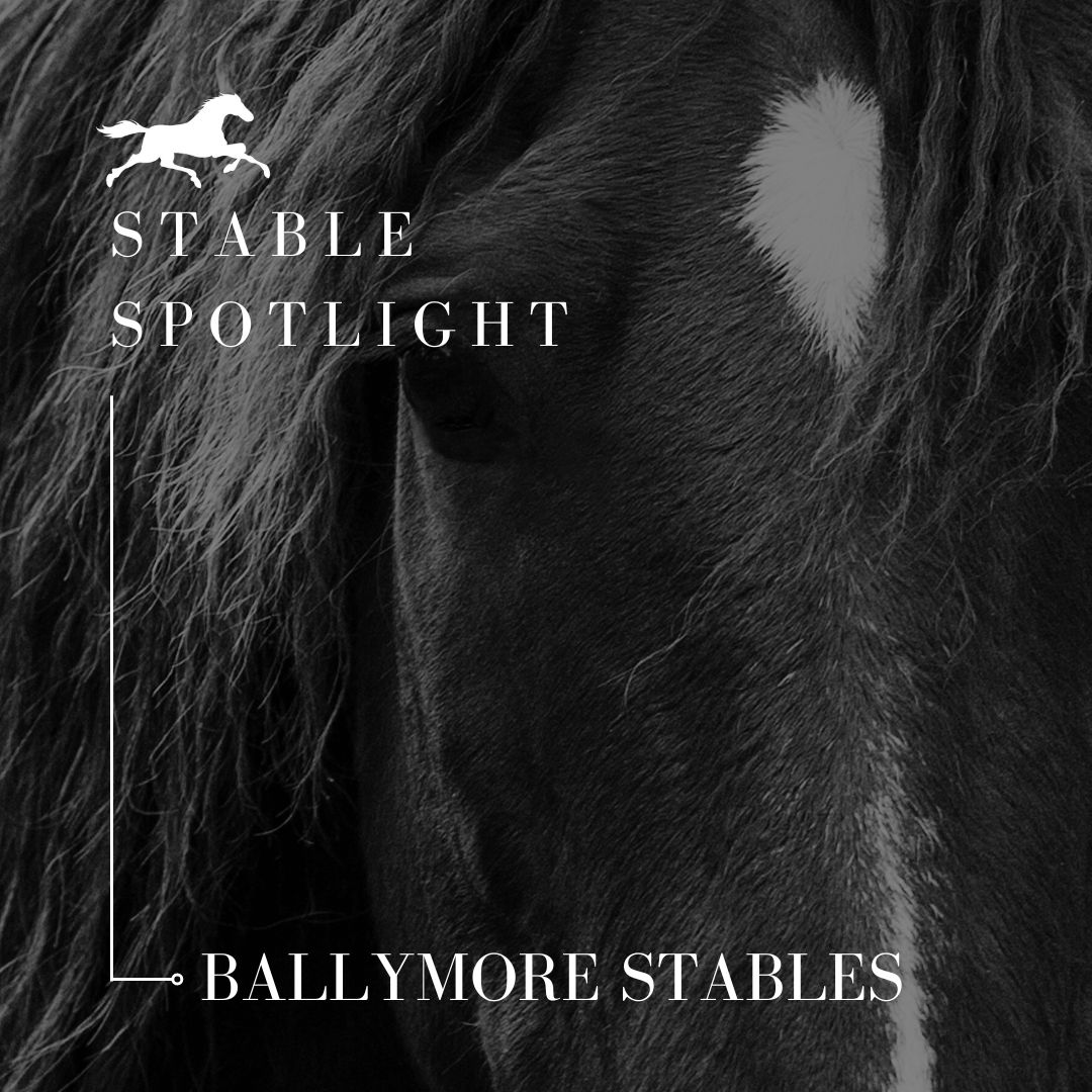 Stable Spotlight – Ballymore Stables