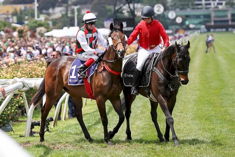 Rewarding Horses Syndicator Spotlight - Toward Reward Thoroughbreds | Thoroughbred Sales