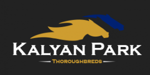 Kalyan Park Thoroughbreds