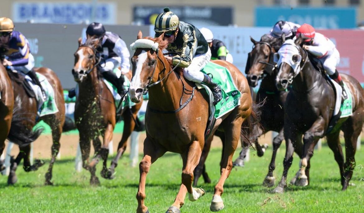 Syndicator Spotlight – Viva Racing