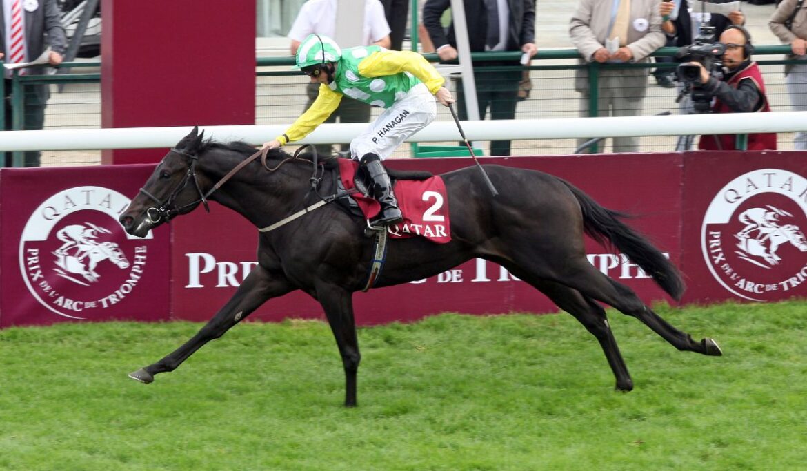 Sire Profile – Wootton Bassett