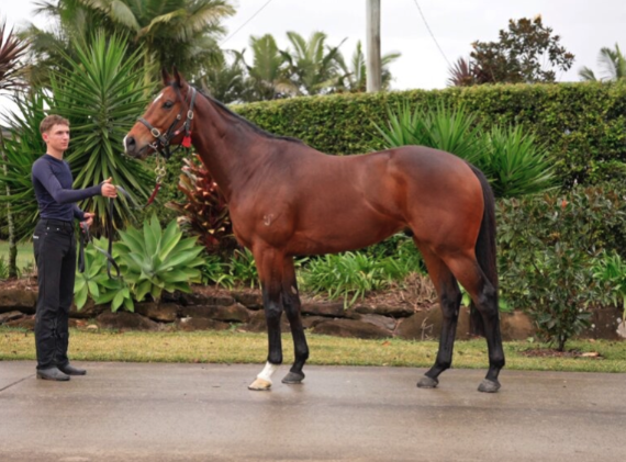 Latest Weekly Listings – I Am Invincible, Farnan and Russian Camelot