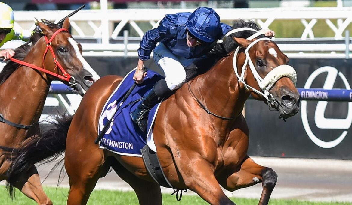 Sire Profile – Home Affairs