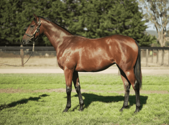 Latest Weekly Listings – Too Darn Hot, Kermadec and Nicconi