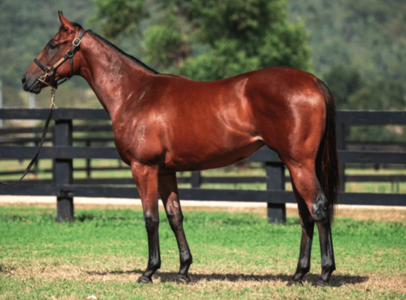 Latest Weekly Listings – Portland Sky, Tiger Of Malay and Lucky Vega