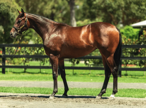 Latest Weekly Listings – Written By, Wild Ruler and Maurice