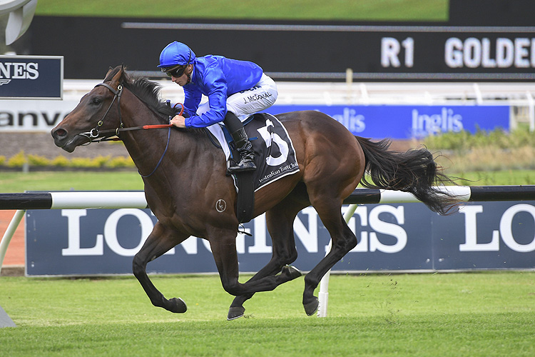 Sire Profile – Tassort