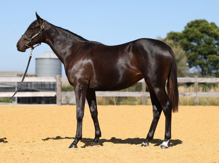 Shamus Award X Platinum Mam’selle