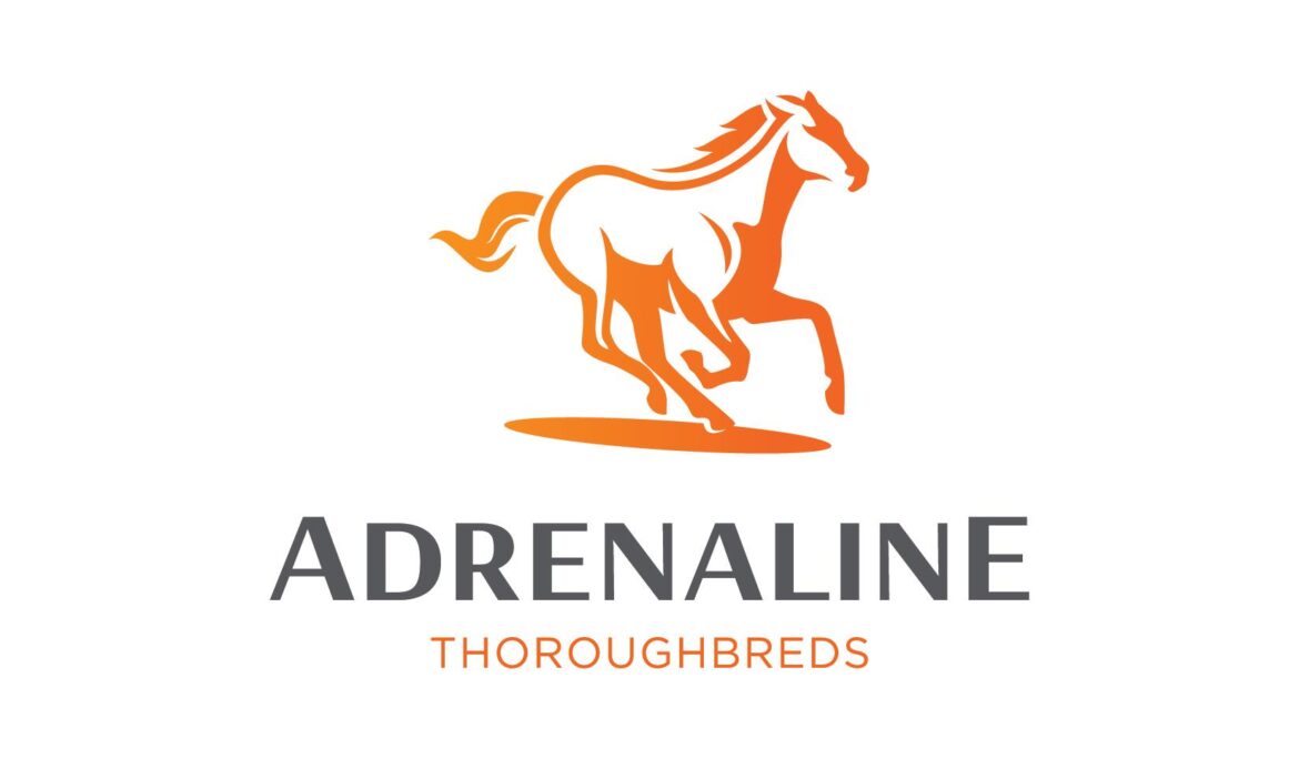 Stable Spotlight – Adrenaline Thoroughbreds