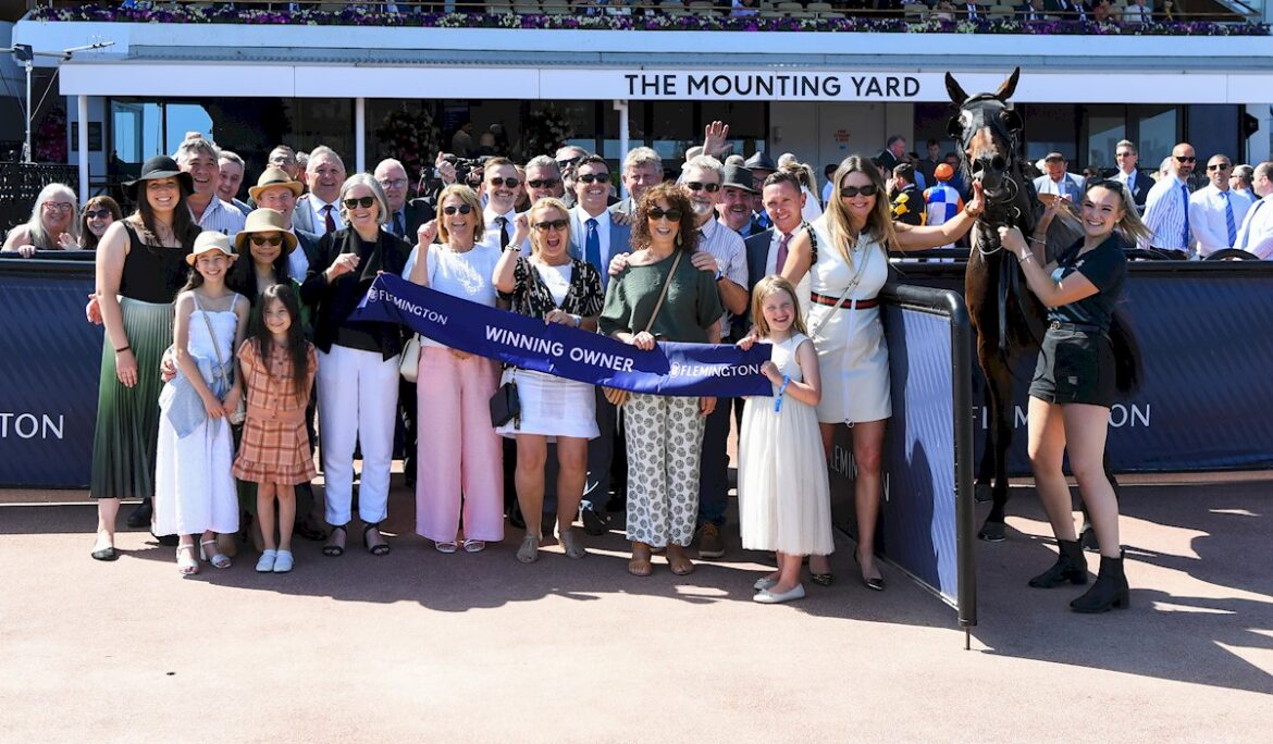 Stable Spotlight – Grand Syndications