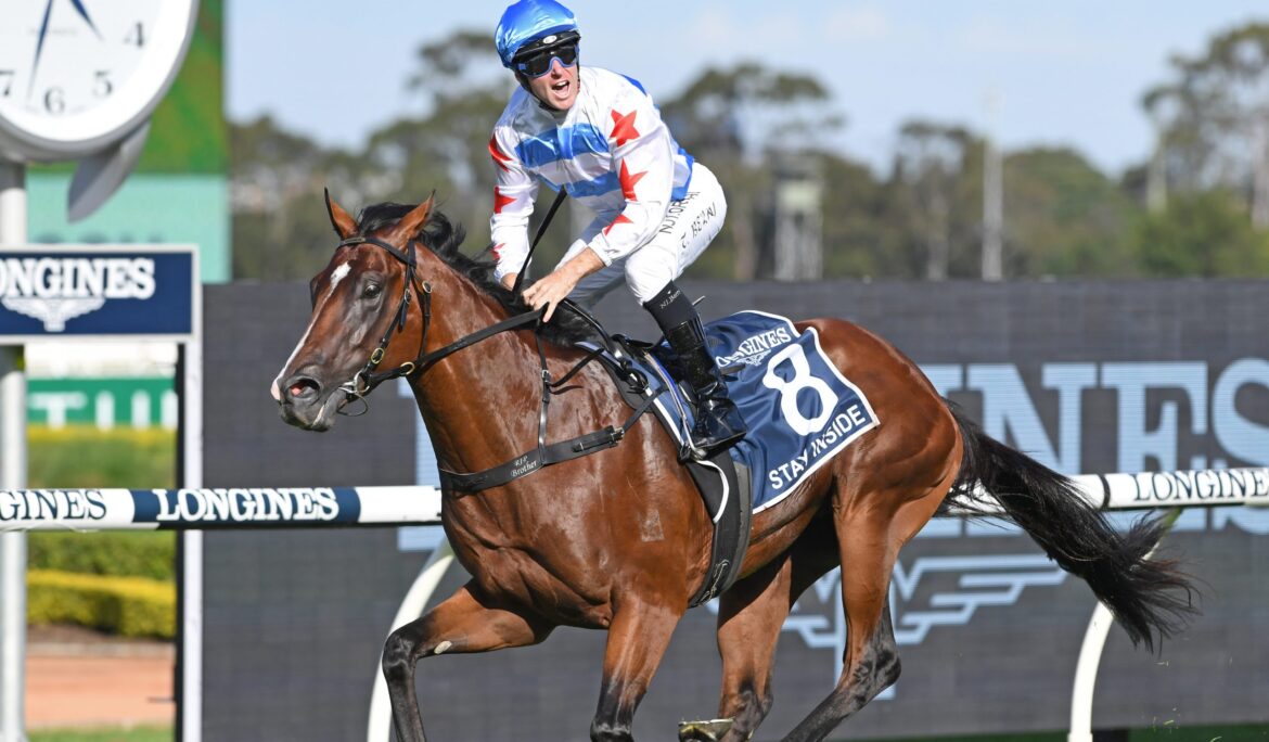 Sire Profile – Stay Inside