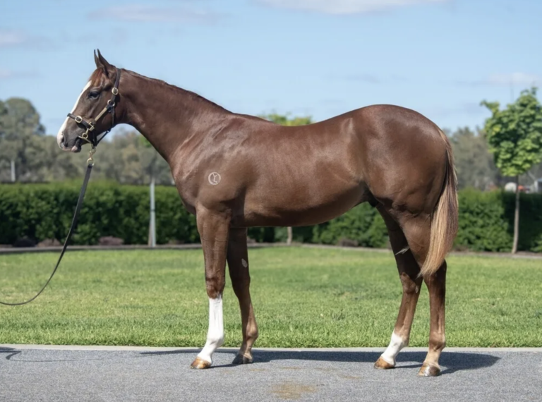 Written Tycoon X Tiz My View Written Tycoon X Tiz My View