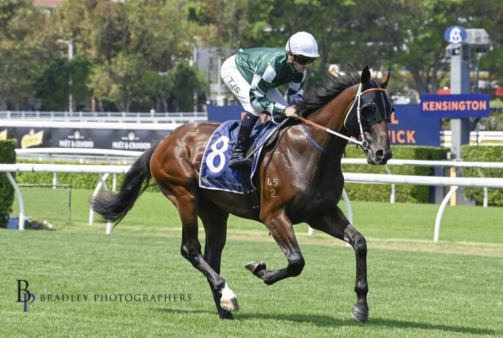 Latest Weekly Listings – Zoustar, Hellbent & Jacquinot