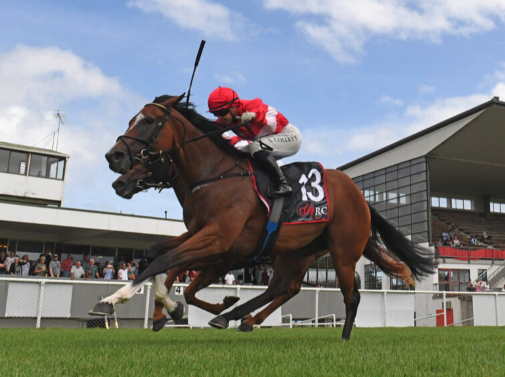 Latest Weekly Listings – Capitalist, Dundeel & Contributer