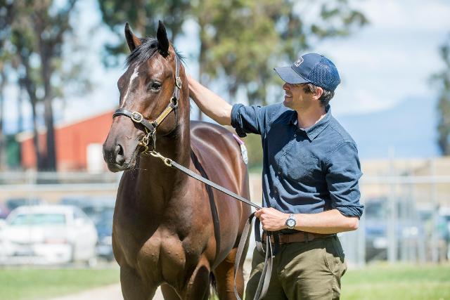 Stable Profile – Matt Cumani