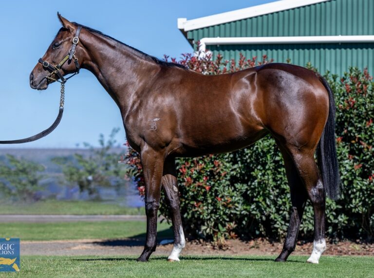 Pride Of Dubai X Bacosi