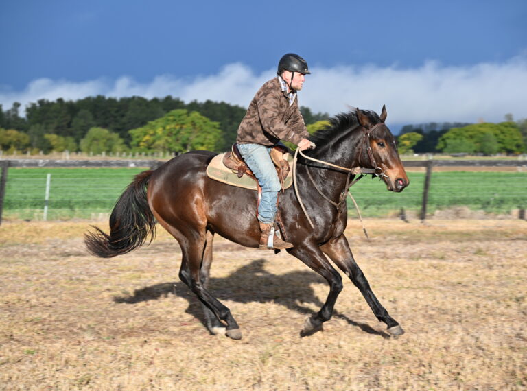 Pierro X La Scopa