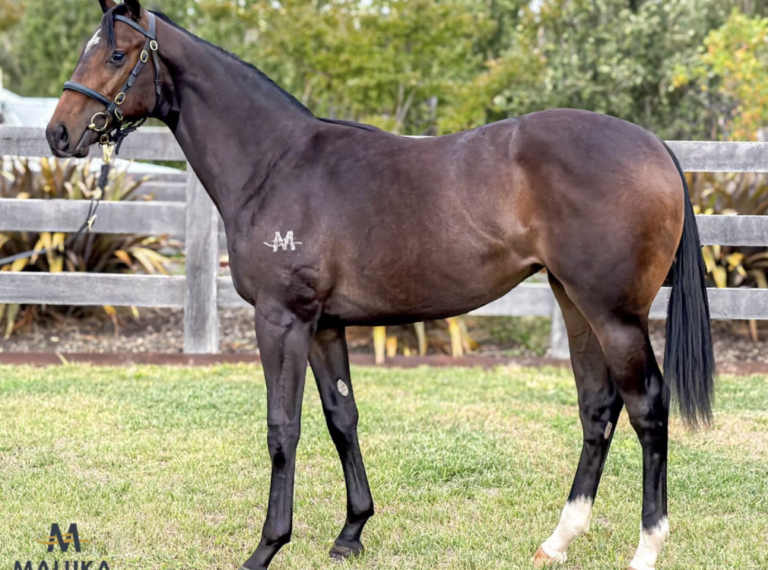 Pierata X Stellar Intruder