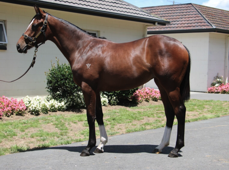Satono Aladdin X Aiguille Satono Aladdin X Aiguille