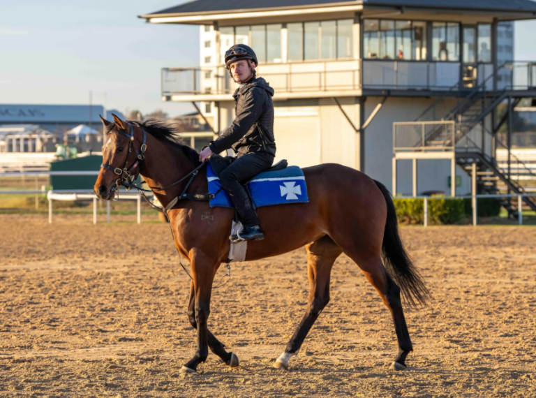 Ardrossan X Madam Charm