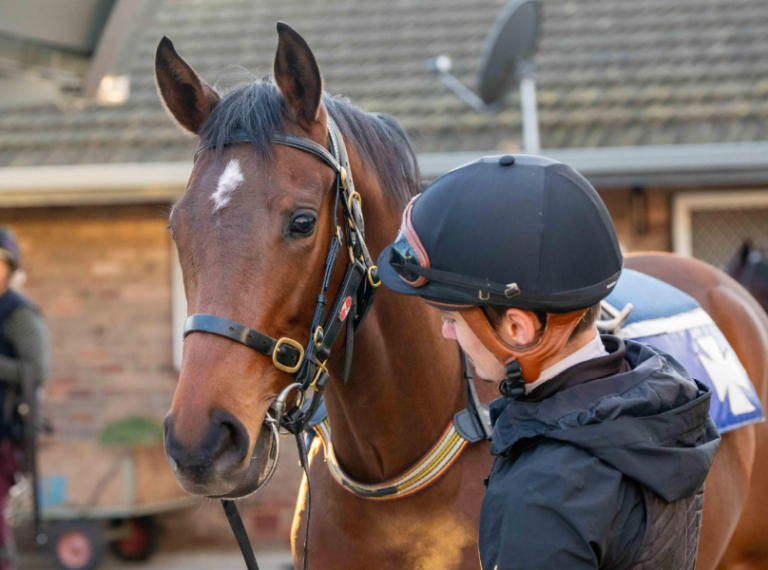 Ardrossan X Madam Charm