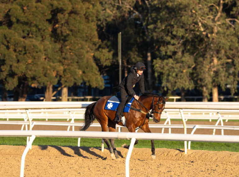 Ardrossan X Madam Charm