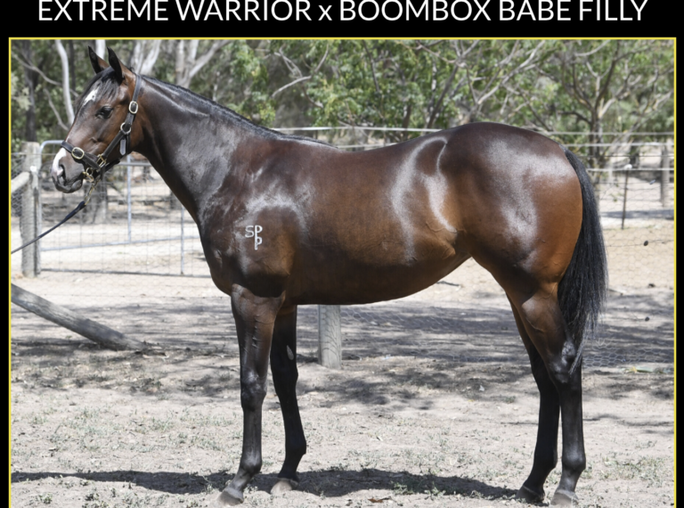 Extreme Warrior X Boombox Babe