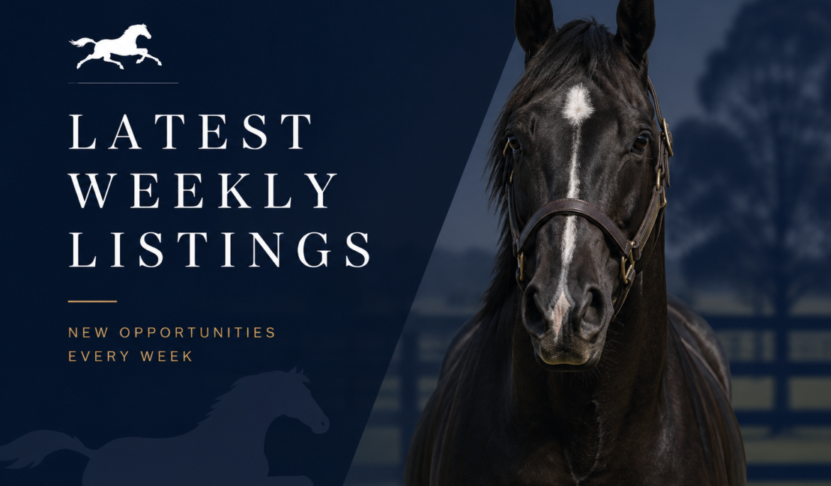 TS_latest-weekly-listings
