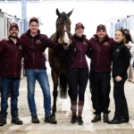 Trainer Profile – Stephen Mclean
