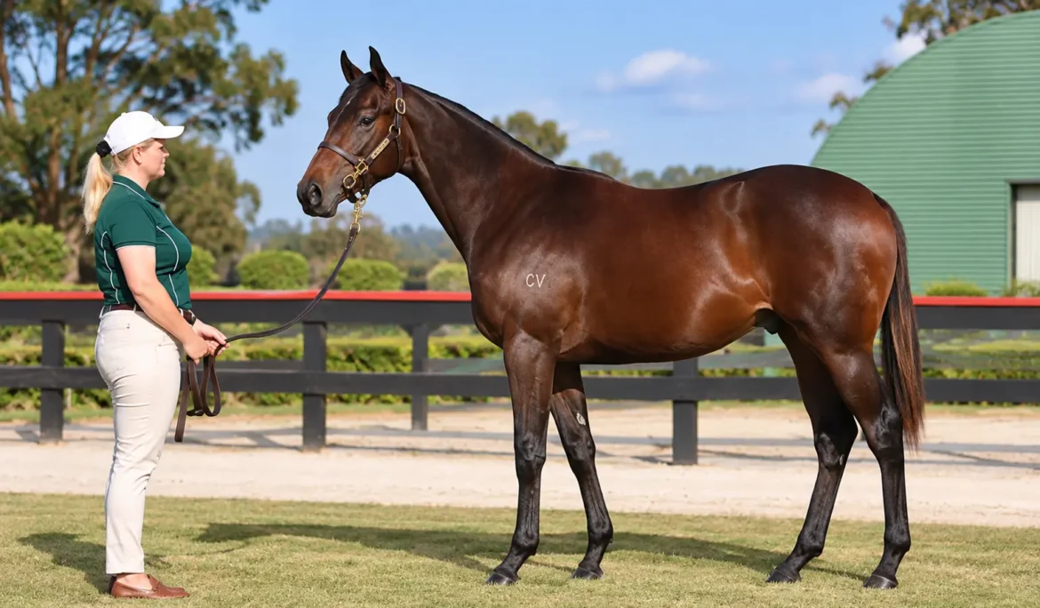 Buying a Yearling