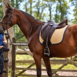 Sell Your Racehorse Online