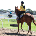 Latest Weekly Listings –  Zousain, Yes Yes Yes and Tassort