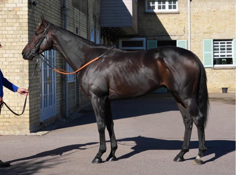 Cracksman X Valiant Girl